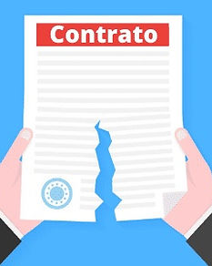 foto10 (articulos).jpg