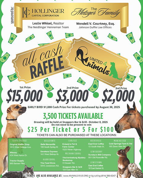 cash raffle- 2025_5_10_2 (1).png