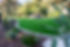 DSC01149-Enhanced-NR.jpg