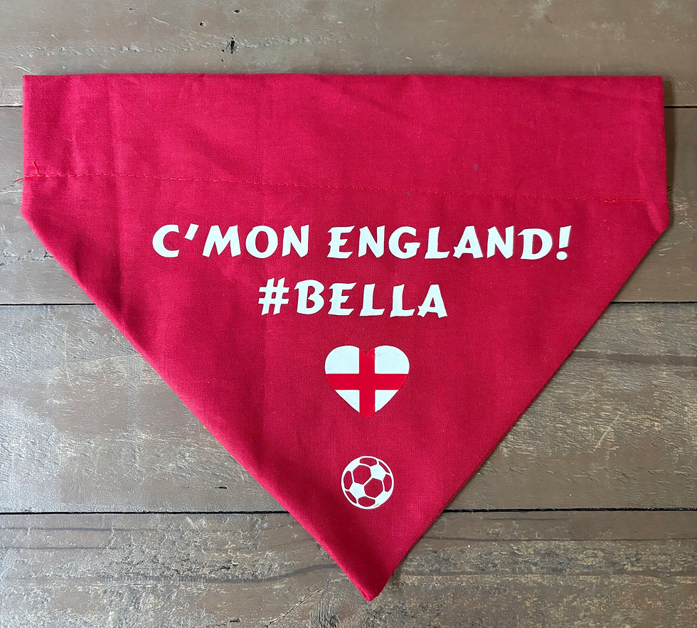 Thumbnail: England dog bandana