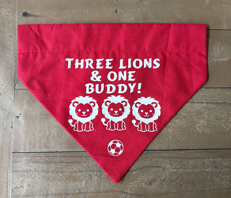 Thumbnail: England dog bandana