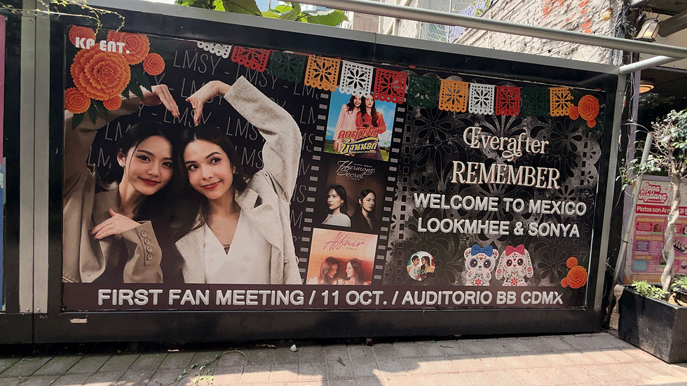 BANNER FISICO LMSY FANBASE MÉXICO, LOOKMHEE Y SONYA, 2026, BELGRADO