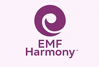 Screen Shot 2024-10-23 at 11.08.18 PM.png