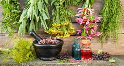 Herbalism and Food with Macha Shewolf Medicine Woman