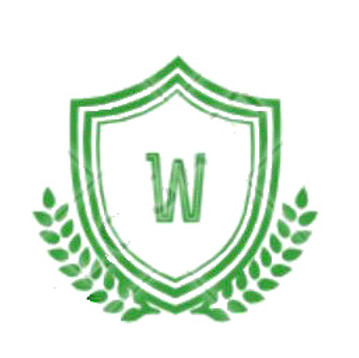 Logo Nova Segurança do Trabalho.jpeg