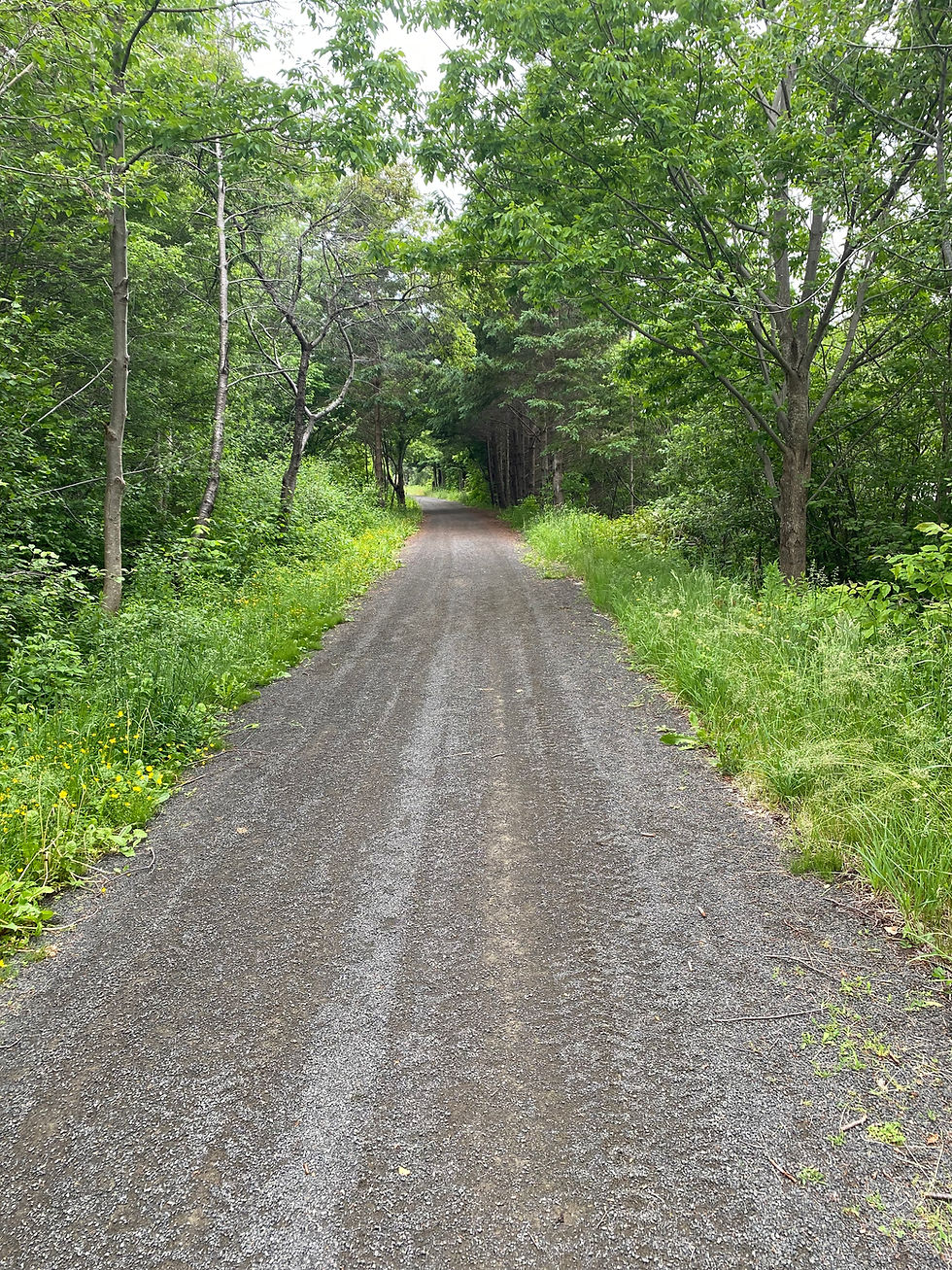 Walking Trail to Downtown - 10 - 15 Minute Walk to Main Street