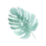 Tropical Leaves 4