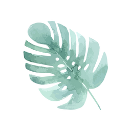 Green Monstera Leaf