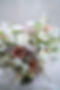 DSC02144.JPG