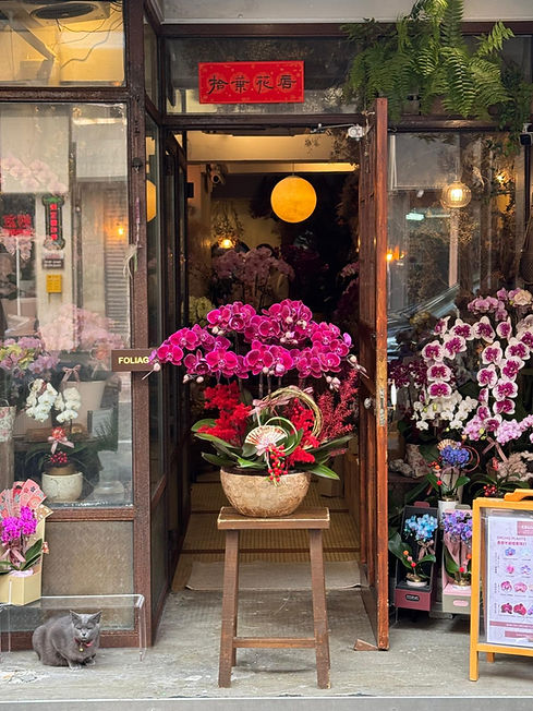 WhatsApp Image 2026-02-12 at 01.22.22 (1).jpeg