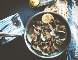Muscheln