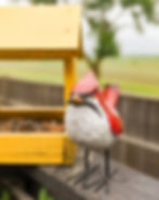 Thumbnail: Folk Style Wooden Bird