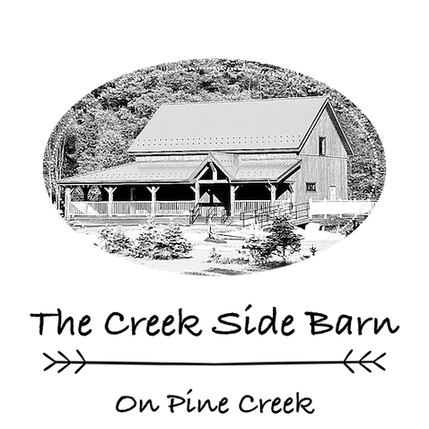 CSB logo2 (2).png