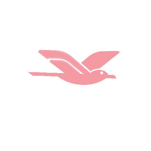 pink-bird-bird.gif