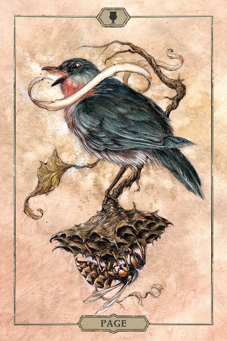 Thumbnail: Hush Tarot