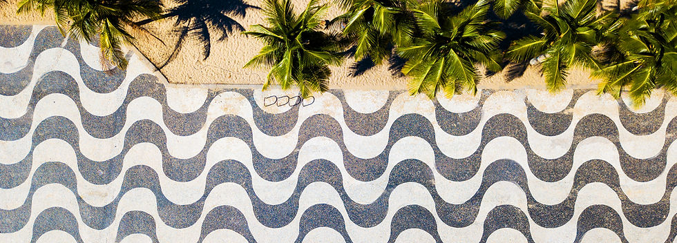 Top_Down_View_of_Copacabana_Mosaic_and_Palm_Trees_3.jpg