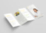 GrandRounds_TriFold_Full.jpg