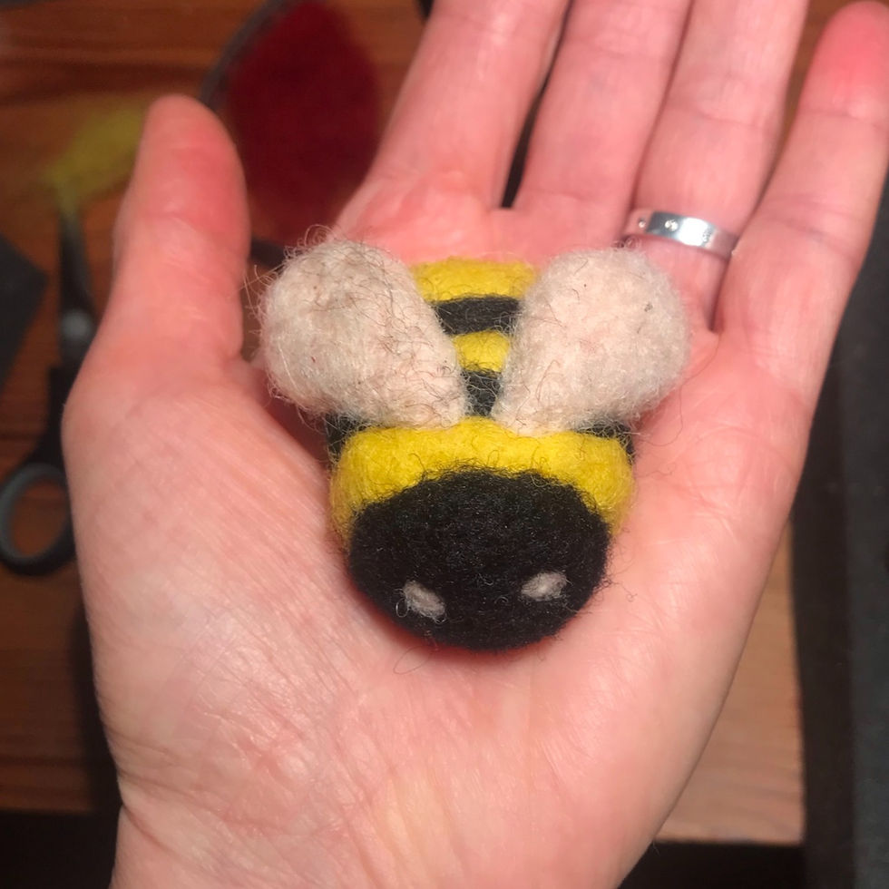 Miniatyrbild: Tre i rad med nåltovade insekter