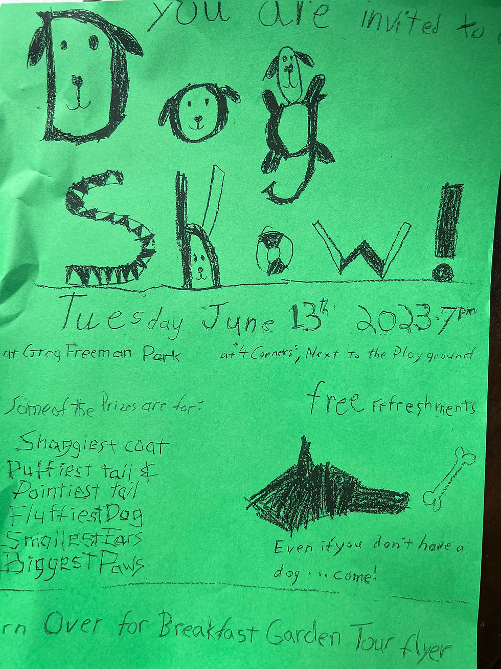 Dog Show!