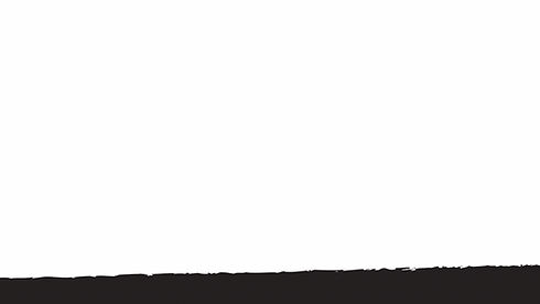 black line_edited.jpg