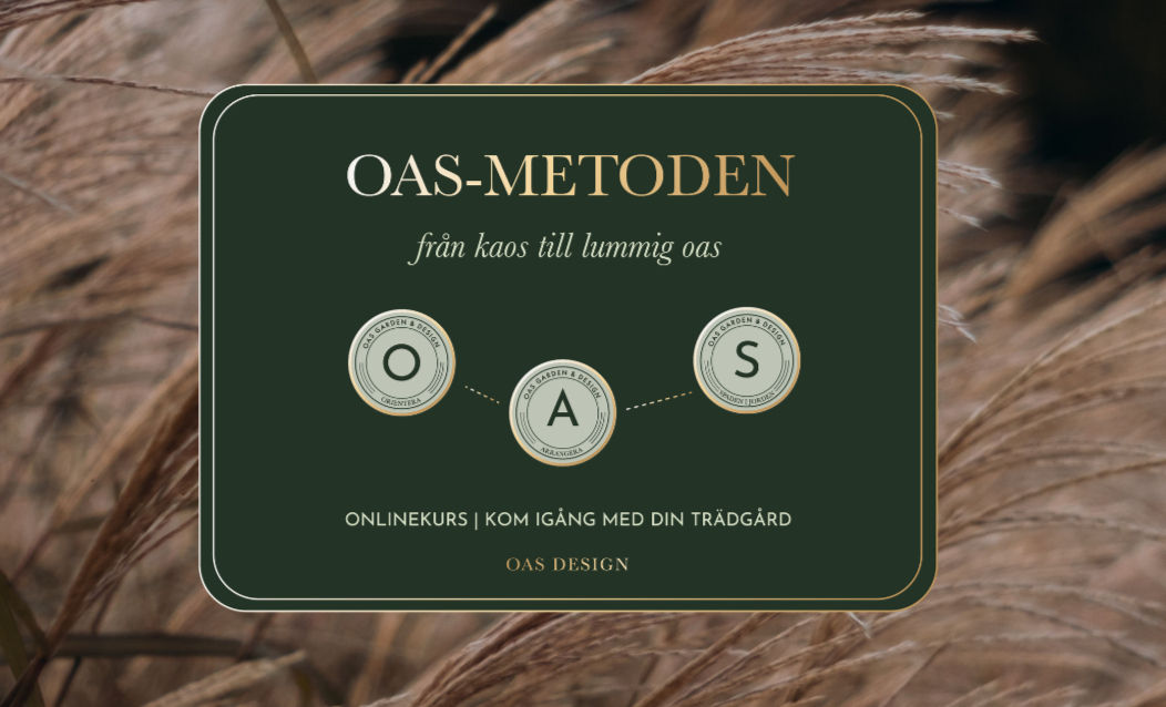 OAS-modellen: OAS-metodens tre delar: Orientera, Arrangera och Sätta spaden i jorden
