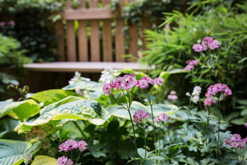 Custom-designed garden bench with carefully curated planting scheme. A signature OAS Design project combining functionality with Nordic aesthetics.