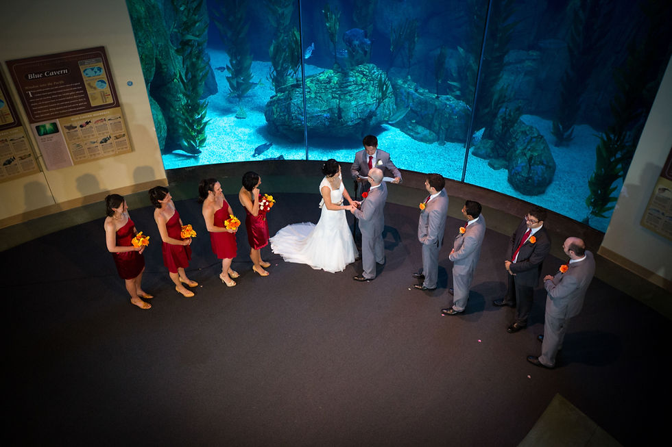 Long Beach Aquarium of the Pacific Wedding