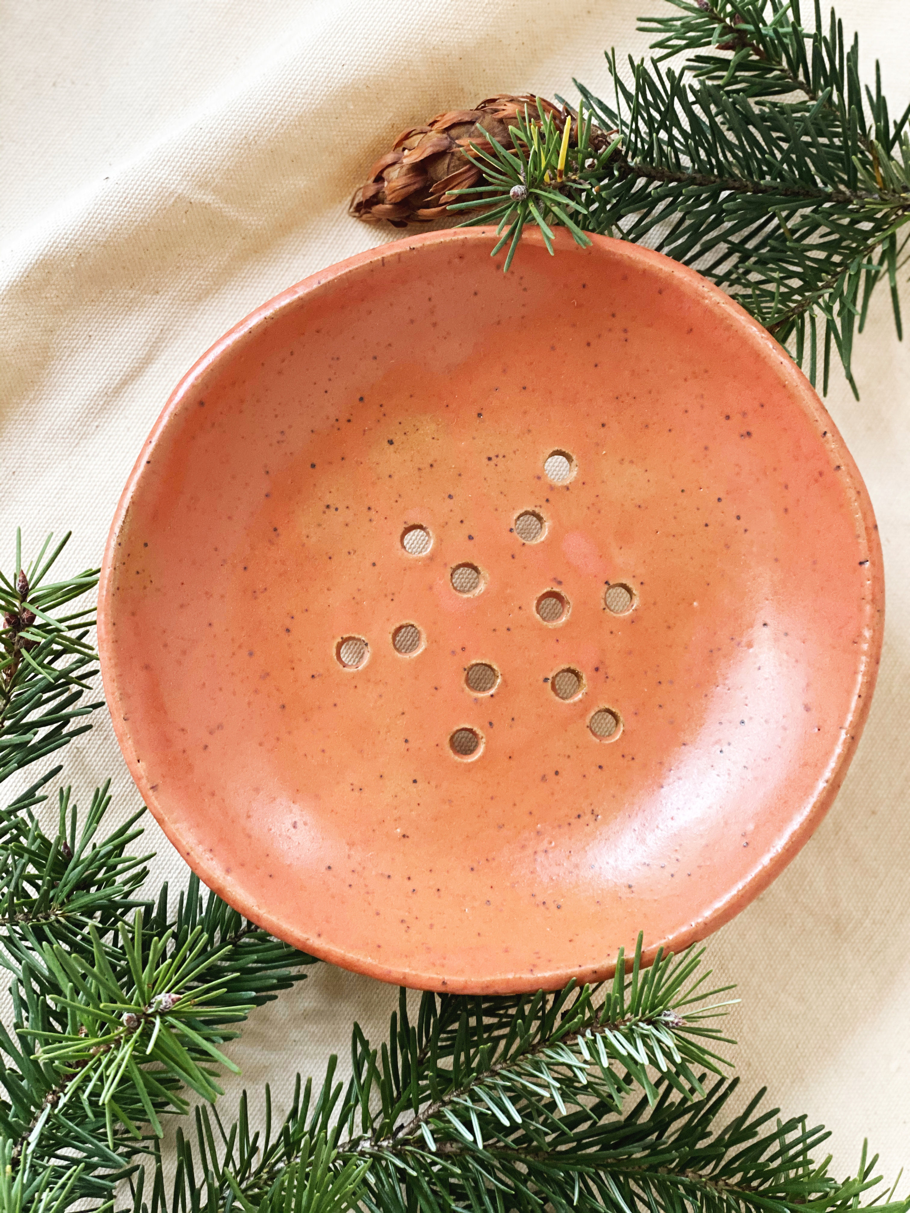 Garden-to-Table Colander in melon