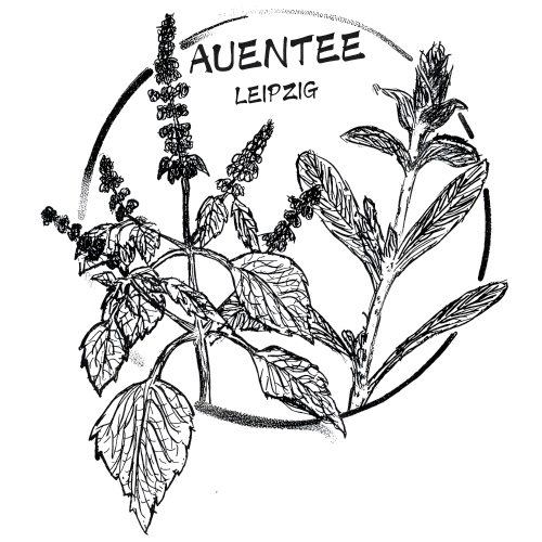 Logo _transparent.png