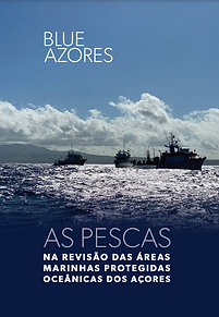 Captura de ecrã 2024-01-25, às 17.59.52.png