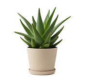 Untitled-1_0000_nano-banana-2025-11-05T16-44-45 copy.jpg