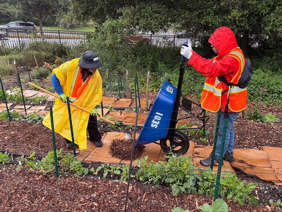 A man pous out mulch chips from a wheelbarrow while another man spreads it around with a rake.