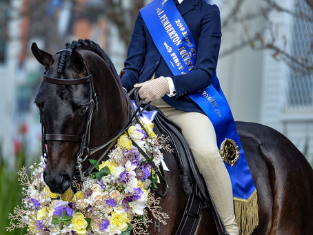 Aida Natale stars in the J. Pemberton Equestrian Turnout.