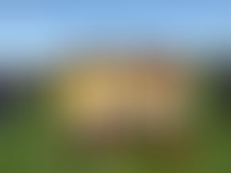 Local talent star at VACSAL carnival