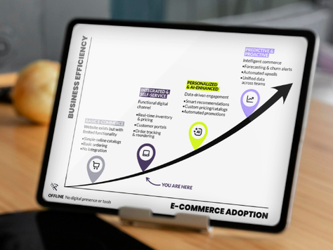 The E-Commerce Maturity Curve: Where Do You Sit?