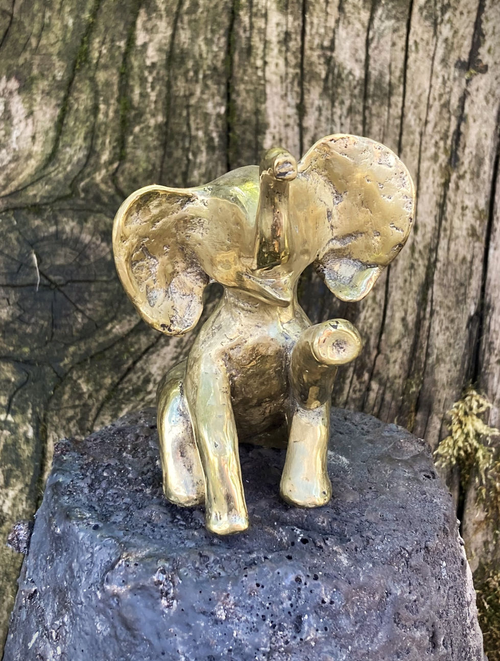 5 elephant