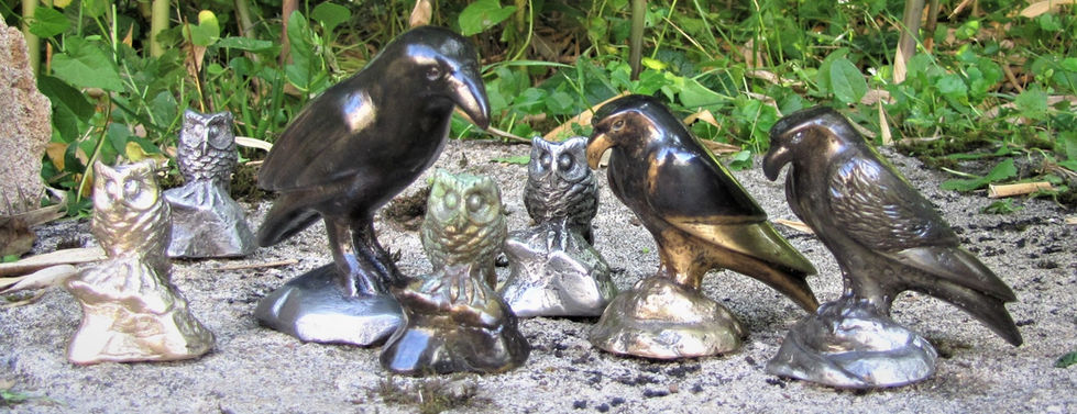 Oiseaux