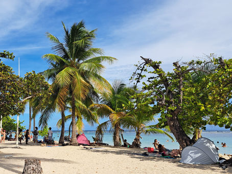 plage de ste anne à 15mm des villas antilles alize