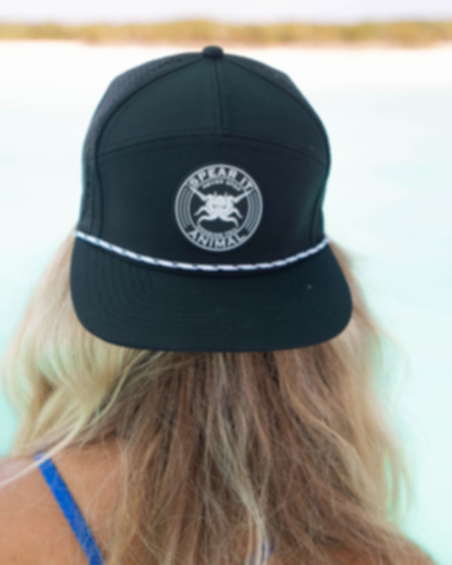 Pirate Flat Bill Cap