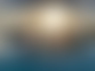 Taking it all in . . . 