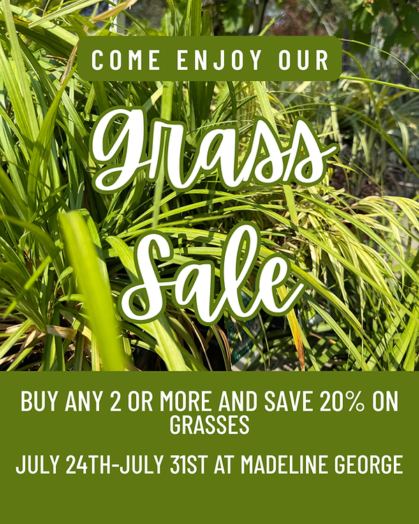 grass sale.png