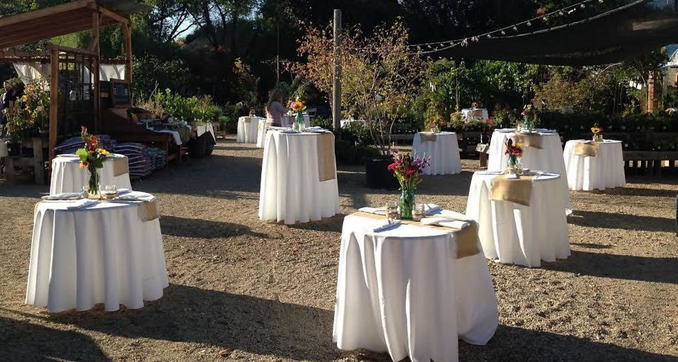 outdoor event