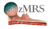 Australiasian Metastatic Research Society Logo OZMRS.png