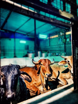 e90b6482-4e69-40dd-964e-5d1c67542928