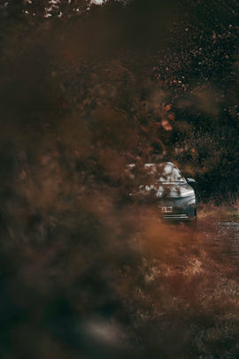 Wansford Autumn-6.jpg