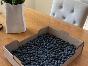 vilt, odlat och ekologiskt, vad är skillnaden?