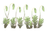 A9841473-7FA4-4DEC-894E-27BD6F40679B.png