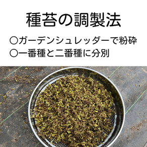 種苔の調製法