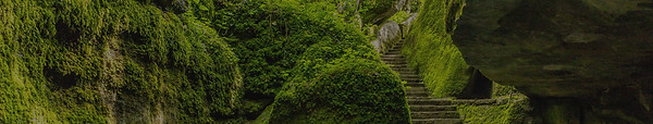 Stone Steps _ Moss_edited.jpg