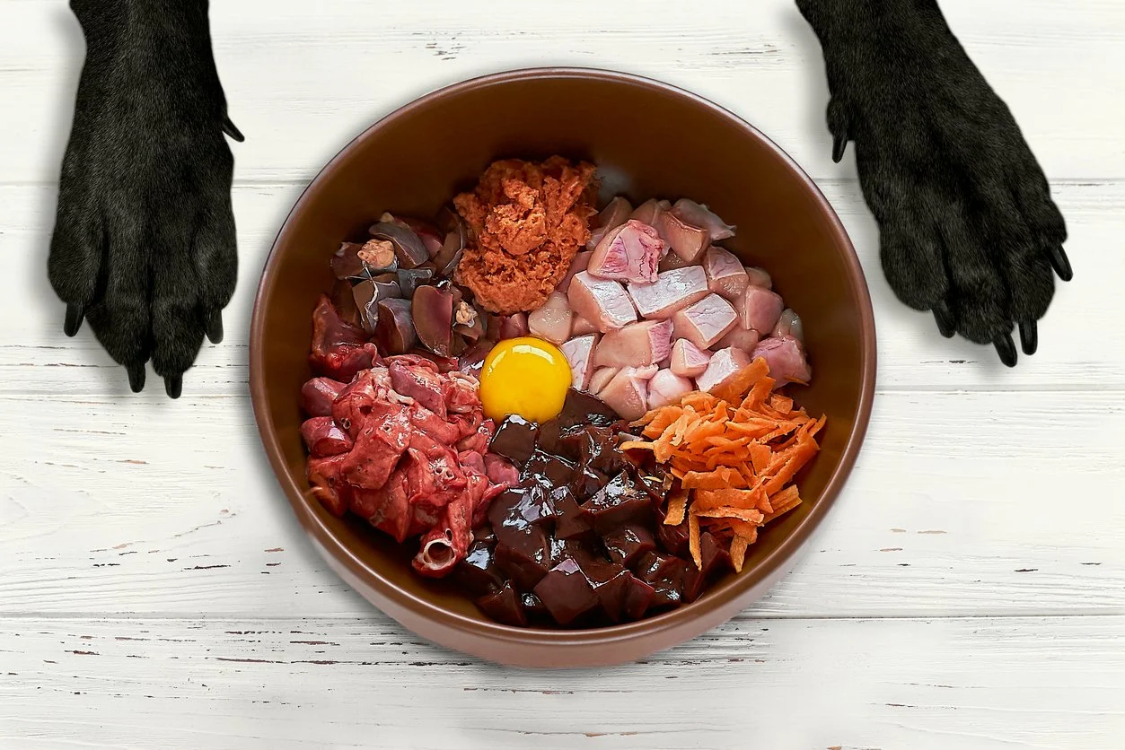 raw-food-diet-for-dogs (1).webp